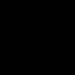 Meet your Posher, Haile